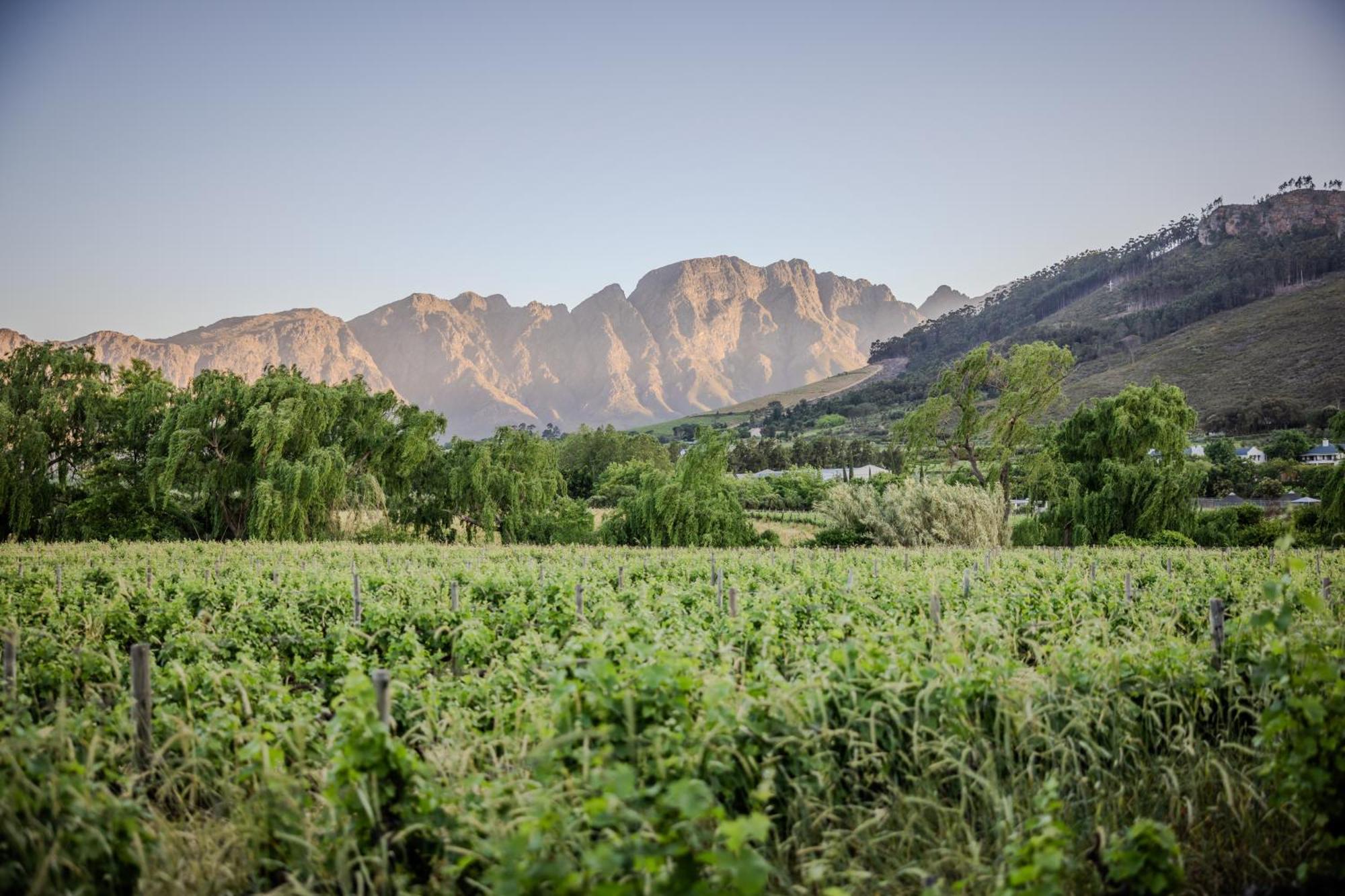 Grande Provence Hotel Franschhoek Luaran gambar